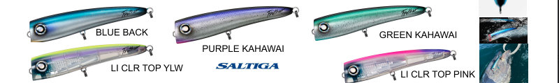 DAIWA SALTIGA FROTHER 170F